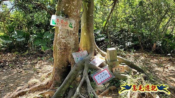 微笑山線(捷運景安站-迎日石-國旗嶺-長壽嶺-牛埔頭山-五尖山-南勢角山-光明頂-捷運南勢角站) (79).jpg 微笑山線(捷運景安站-迎日石-國旗嶺-長壽嶺-牛埔頭山-五尖山-南勢角山-光明頂-捷運南勢角站) (79).jpg