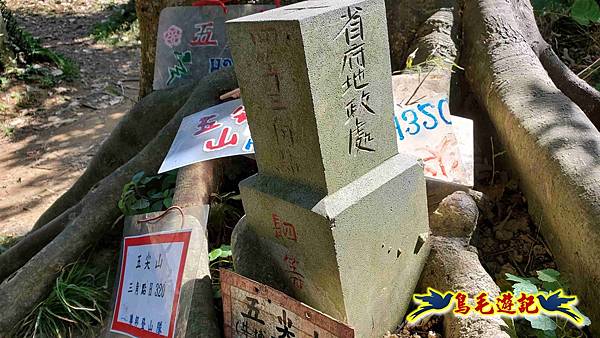 微笑山線(捷運景安站-迎日石-國旗嶺-長壽嶺-牛埔頭山-五尖山-南勢角山-光明頂-捷運南勢角站) (80).jpg