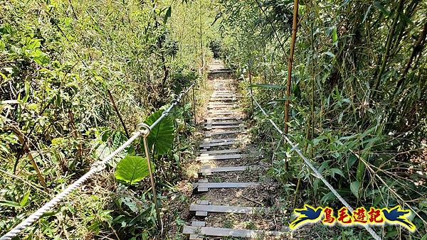 微笑山線(捷運景安站-迎日石-國旗嶺-長壽嶺-牛埔頭山-五尖山-南勢角山-光明頂-捷運南勢角站) (82).jpg