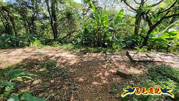 微笑山線(捷運景安站-迎日石-國旗嶺-長壽嶺-牛埔頭山-五尖山-南勢角山-光明頂-捷運南勢角站) (83).jpg 微笑山線(捷運景安站-迎日石-國旗嶺-長壽嶺-牛埔頭山-五尖山-南勢角山-光明頂-捷運南勢角站) (83).jpg