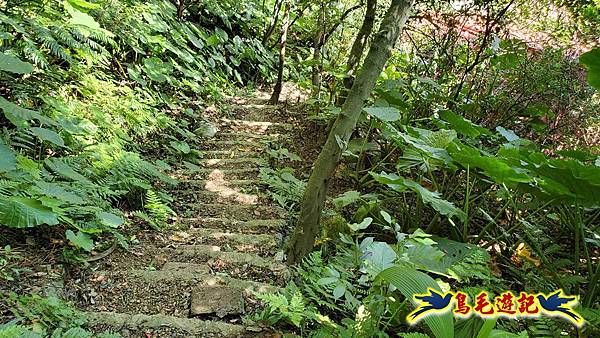 微笑山線(捷運景安站-迎日石-國旗嶺-長壽嶺-牛埔頭山-五尖山-南勢角山-光明頂-捷運南勢角站) (86).jpg