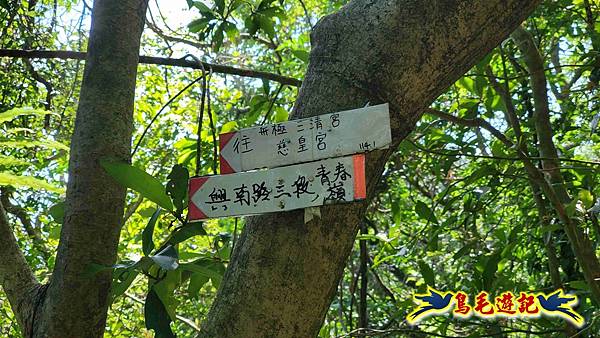 微笑山線(捷運景安站-迎日石-國旗嶺-長壽嶺-牛埔頭山-五尖山-南勢角山-光明頂-捷運南勢角站) (84).jpg