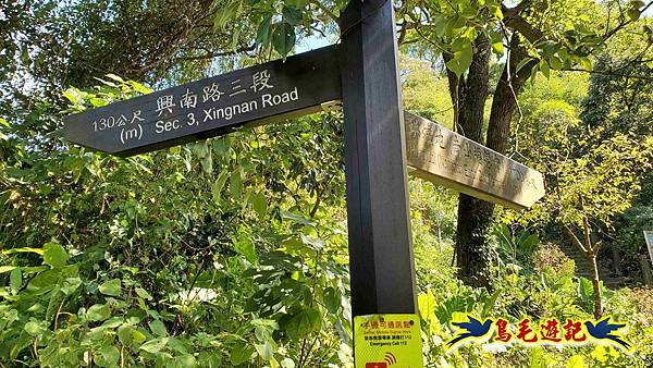 微笑山線(捷運景安站-迎日石-國旗嶺-長壽嶺-牛埔頭山-五尖山-南勢角山-光明頂-捷運南勢角站) (92).jpg