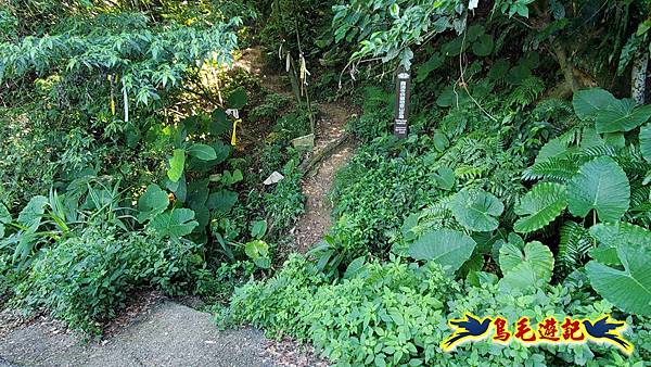 微笑山線(捷運景安站-迎日石-國旗嶺-長壽嶺-牛埔頭山-五尖山-南勢角山-光明頂-捷運南勢角站) (91).jpg 微笑山線(捷運景安站-迎日石-國旗嶺-長壽嶺-牛埔頭山-五尖山-南勢角山-光明頂-捷運南勢角站) (91).jpg