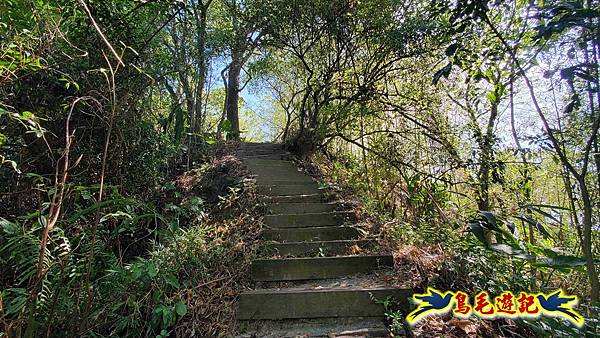 微笑山線(捷運景安站-迎日石-國旗嶺-長壽嶺-牛埔頭山-五尖山-南勢角山-光明頂-捷運南勢角站) (94).jpg