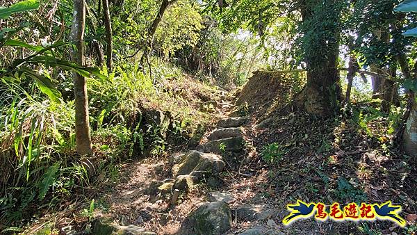 微笑山線(捷運景安站-迎日石-國旗嶺-長壽嶺-牛埔頭山-五尖山-南勢角山-光明頂-捷運南勢角站) (95).jpg 微笑山線(捷運景安站-迎日石-國旗嶺-長壽嶺-牛埔頭山-五尖山-南勢角山-光明頂-捷運南勢角站) (95).jpg