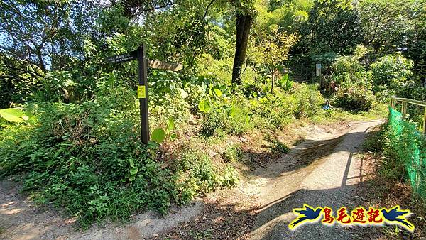 微笑山線(捷運景安站-迎日石-國旗嶺-長壽嶺-牛埔頭山-五尖山-南勢角山-光明頂-捷運南勢角站) (93).jpg 微笑山線(捷運景安站-迎日石-國旗嶺-長壽嶺-牛埔頭山-五尖山-南勢角山-光明頂-捷運南勢角站) (93).jpg