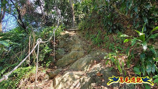微笑山線(捷運景安站-迎日石-國旗嶺-長壽嶺-牛埔頭山-五尖山-南勢角山-光明頂-捷運南勢角站) (97).jpg 微笑山線(捷運景安站-迎日石-國旗嶺-長壽嶺-牛埔頭山-五尖山-南勢角山-光明頂-捷運南勢角站) (97).jpg