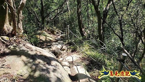 微笑山線(捷運景安站-迎日石-國旗嶺-長壽嶺-牛埔頭山-五尖山-南勢角山-光明頂-捷運南勢角站) (101).jpg
