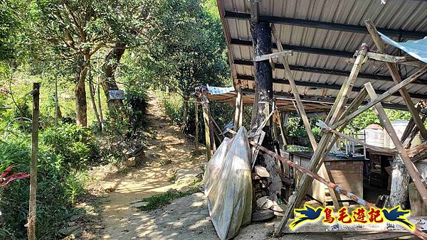 微笑山線(捷運景安站-迎日石-國旗嶺-長壽嶺-牛埔頭山-五尖山-南勢角山-光明頂-捷運南勢角站) (100).jpg 微笑山線(捷運景安站-迎日石-國旗嶺-長壽嶺-牛埔頭山-五尖山-南勢角山-光明頂-捷運南勢角站) (100).jpg