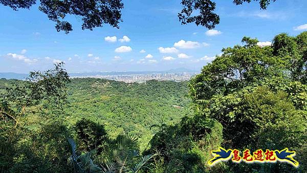 微笑山線(捷運景安站-迎日石-國旗嶺-長壽嶺-牛埔頭山-五尖山-南勢角山-光明頂-捷運南勢角站) (103).jpg