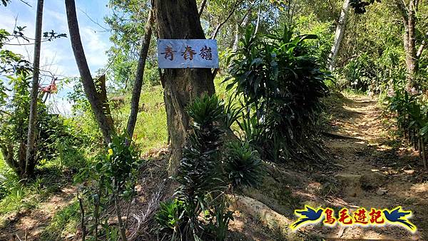 微笑山線(捷運景安站-迎日石-國旗嶺-長壽嶺-牛埔頭山-五尖山-南勢角山-光明頂-捷運南勢角站) (99).jpg
