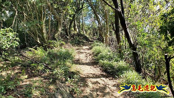微笑山線(捷運景安站-迎日石-國旗嶺-長壽嶺-牛埔頭山-五尖山-南勢角山-光明頂-捷運南勢角站) (105).jpg