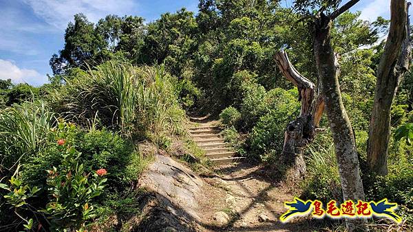 微笑山線(捷運景安站-迎日石-國旗嶺-長壽嶺-牛埔頭山-五尖山-南勢角山-光明頂-捷運南勢角站) (108).jpg 微笑山線(捷運景安站-迎日石-國旗嶺-長壽嶺-牛埔頭山-五尖山-南勢角山-光明頂-捷運南勢角站) (108).jpg