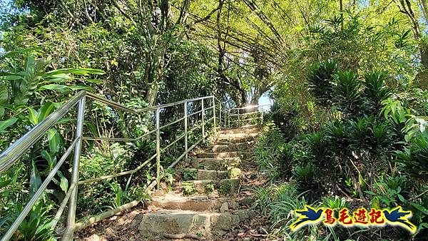 微笑山線(捷運景安站-迎日石-國旗嶺-長壽嶺-牛埔頭山-五尖山-南勢角山-光明頂-捷運南勢角站) (110).jpg 微笑山線(捷運景安站-迎日石-國旗嶺-長壽嶺-牛埔頭山-五尖山-南勢角山-光明頂-捷運南勢角站) (110).jpg