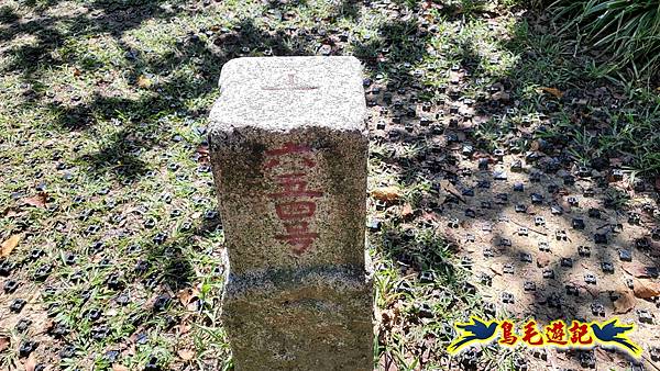 微笑山線(捷運景安站-迎日石-國旗嶺-長壽嶺-牛埔頭山-五尖山-南勢角山-光明頂-捷運南勢角站) (116).jpg 微笑山線(捷運景安站-迎日石-國旗嶺-長壽嶺-牛埔頭山-五尖山-南勢角山-光明頂-捷運南勢角站) (116).jpg