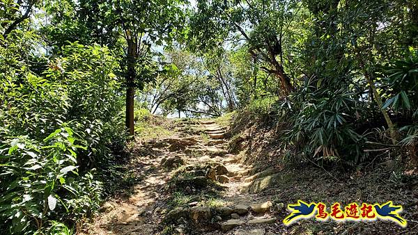 微笑山線(捷運景安站-迎日石-國旗嶺-長壽嶺-牛埔頭山-五尖山-南勢角山-光明頂-捷運南勢角站) (120).jpg 微笑山線(捷運景安站-迎日石-國旗嶺-長壽嶺-牛埔頭山-五尖山-南勢角山-光明頂-捷運南勢角站) (120).jpg
