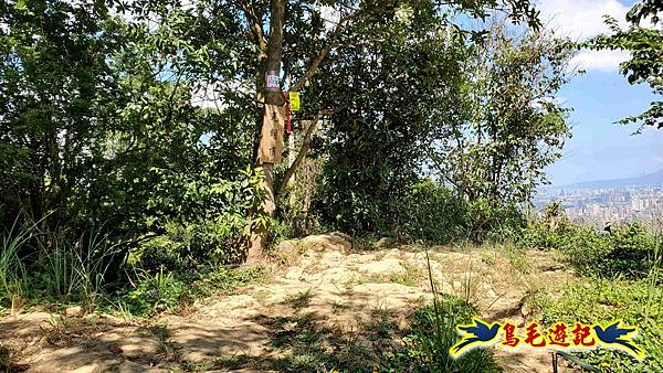 微笑山線(捷運景安站-迎日石-國旗嶺-長壽嶺-牛埔頭山-五尖山-南勢角山-光明頂-捷運南勢角站) (128).jpg
