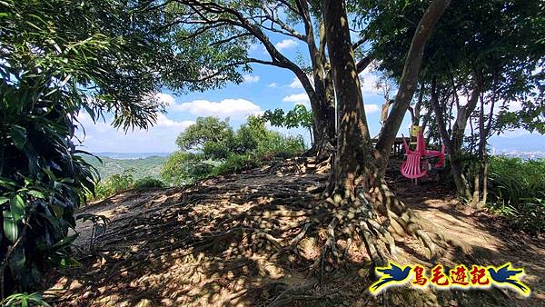 微笑山線(捷運景安站-迎日石-國旗嶺-長壽嶺-牛埔頭山-五尖山-南勢角山-光明頂-捷運南勢角站) (132).jpg