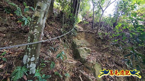微笑山線(捷運景安站-迎日石-國旗嶺-長壽嶺-牛埔頭山-五尖山-南勢角山-光明頂-捷運南勢角站) (138).jpg 微笑山線(捷運景安站-迎日石-國旗嶺-長壽嶺-牛埔頭山-五尖山-南勢角山-光明頂-捷運南勢角站) (138).jpg