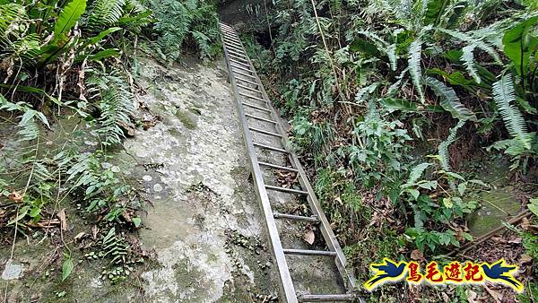 微笑山線(捷運景安站-迎日石-國旗嶺-長壽嶺-牛埔頭山-五尖山-南勢角山-光明頂-捷運南勢角站) (141).jpg