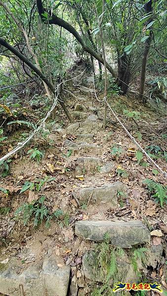 微笑山線(捷運景安站-迎日石-國旗嶺-長壽嶺-牛埔頭山-五尖山-南勢角山-光明頂-捷運南勢角站) (140).jpg 微笑山線(捷運景安站-迎日石-國旗嶺-長壽嶺-牛埔頭山-五尖山-南勢角山-光明頂-捷運南勢角站) (140).jpg