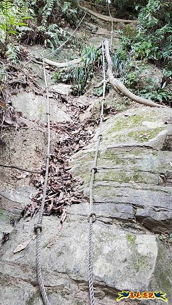 微笑山線(捷運景安站-迎日石-國旗嶺-長壽嶺-牛埔頭山-五尖山-南勢角山-光明頂-捷運南勢角站) (139).jpg