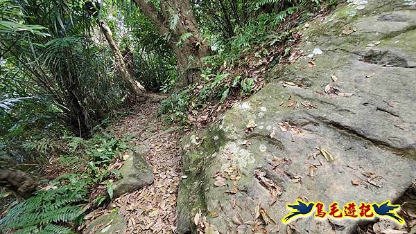 微笑山線(捷運景安站-迎日石-國旗嶺-長壽嶺-牛埔頭山-五尖山-南勢角山-光明頂-捷運南勢角站) (142).jpg 微笑山線(捷運景安站-迎日石-國旗嶺-長壽嶺-牛埔頭山-五尖山-南勢角山-光明頂-捷運南勢角站) (142).jpg