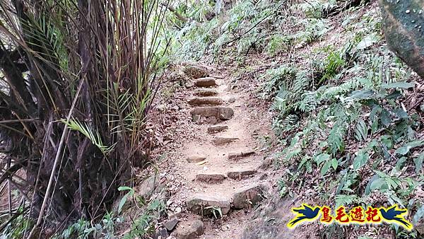 微笑山線(捷運景安站-迎日石-國旗嶺-長壽嶺-牛埔頭山-五尖山-南勢角山-光明頂-捷運南勢角站) (143).jpg