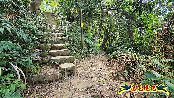 微笑山線(捷運景安站-迎日石-國旗嶺-長壽嶺-牛埔頭山-五尖山-南勢角山-光明頂-捷運南勢角站) (144).jpg 微笑山線(捷運景安站-迎日石-國旗嶺-長壽嶺-牛埔頭山-五尖山-南勢角山-光明頂-捷運南勢角站) (144).jpg