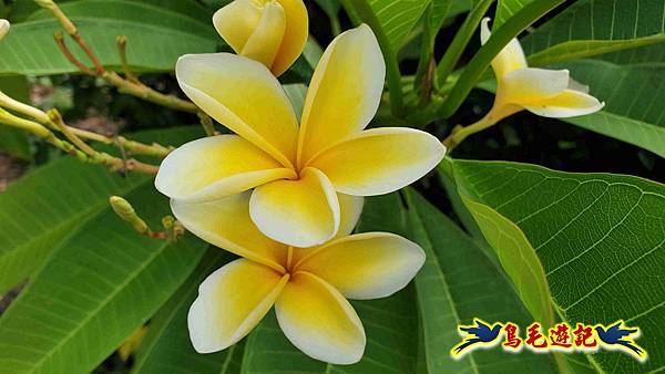 雙溪慈安宮土地公嶺保甲路青雲古道遠景古道O形 (8).jpg