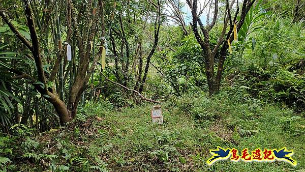 雙溪慈安宮土地公嶺保甲路青雲古道遠景古道O形 (18).jpg