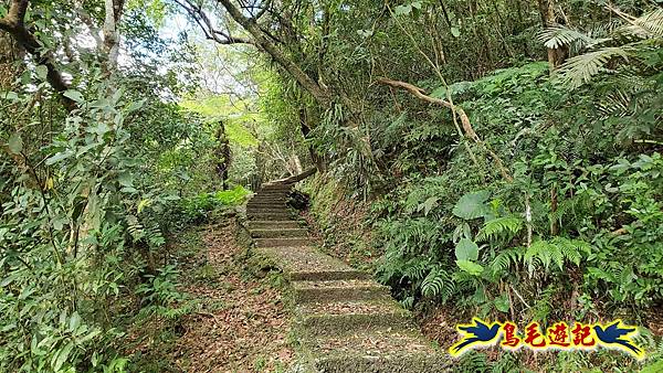 雙溪慈安宮土地公嶺保甲路青雲古道遠景古道O形 (24).jpg