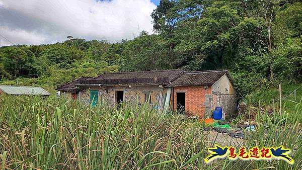 雙溪慈安宮土地公嶺保甲路青雲古道遠景古道O形 (22).jpg