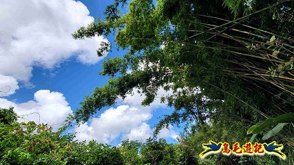 雙溪慈安宮土地公嶺保甲路青雲古道遠景古道O形 (36).jpg