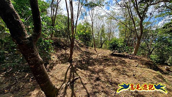 雙溪慈安宮土地公嶺保甲路青雲古道遠景古道O形 (53).jpg