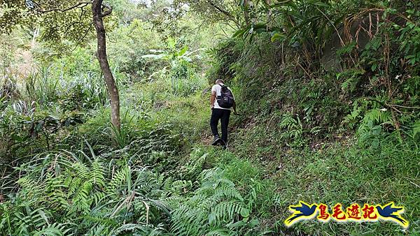 雙溪慈安宮土地公嶺保甲路青雲古道遠景古道O形 (50).jpg