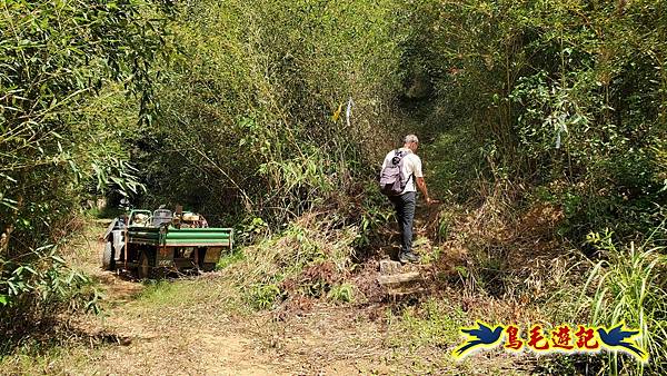 雙溪慈安宮土地公嶺保甲路青雲古道遠景古道O形 (57).jpg
