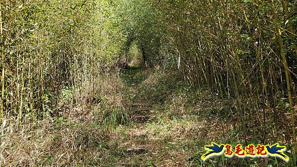 雙溪慈安宮土地公嶺保甲路青雲古道遠景古道O形 (58).jpg
