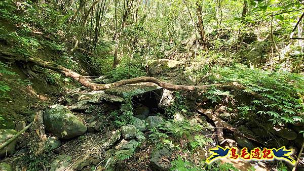 雙溪慈安宮土地公嶺保甲路青雲古道遠景古道O形 (59).jpg