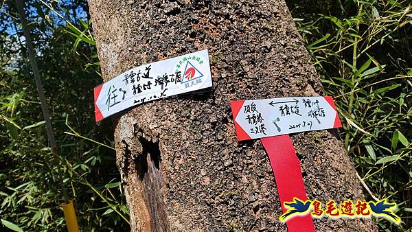 雙溪慈安宮土地公嶺保甲路青雲古道遠景古道O形 (56).jpg