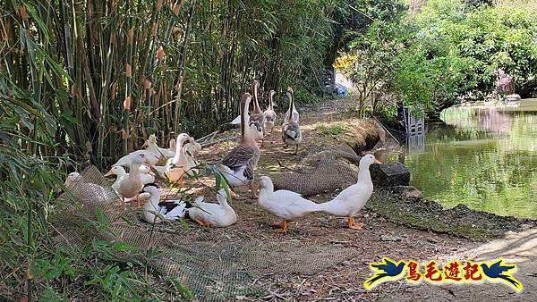 雙溪慈安宮土地公嶺保甲路青雲古道遠景古道O形 (66).jpg
