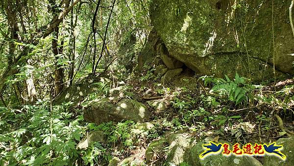 雙溪慈安宮土地公嶺保甲路青雲古道遠景古道O形 (61).jpg