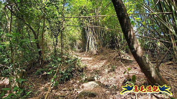 雙溪慈安宮土地公嶺保甲路青雲古道遠景古道O形 (63).jpg