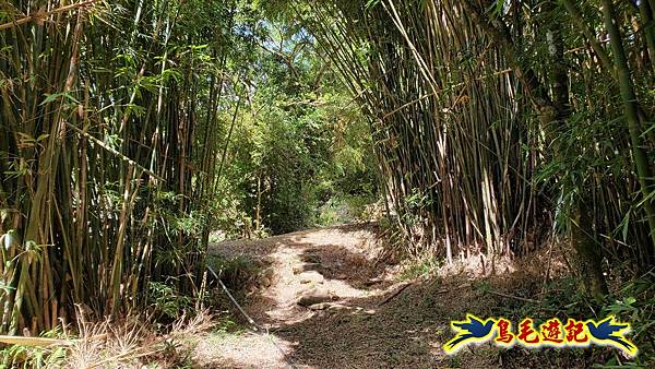 雙溪慈安宮土地公嶺保甲路青雲古道遠景古道O形 (65).jpg