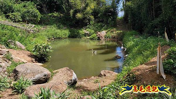 雙溪慈安宮土地公嶺保甲路青雲古道遠景古道O形 (64).jpg
