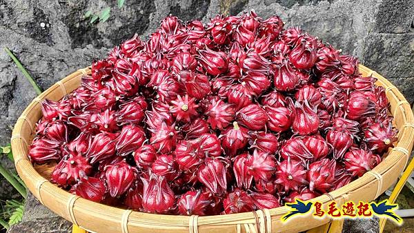 雙溪慈安宮土地公嶺保甲路青雲古道遠景古道O形 (72).jpg