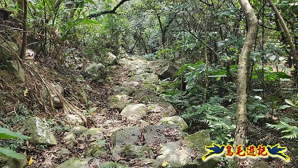 雙溪慈安宮土地公嶺保甲路青雲古道遠景古道O形 (80).jpg