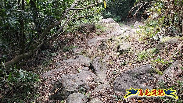 雙溪慈安宮土地公嶺保甲路青雲古道遠景古道O形 (79).jpg