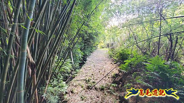 雙溪慈安宮土地公嶺保甲路青雲古道遠景古道O形 (84).jpg